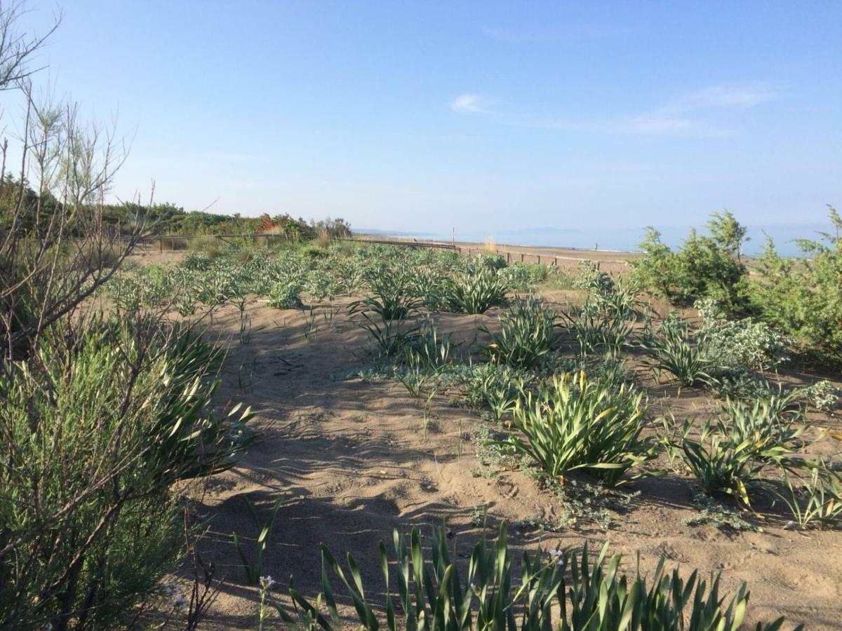 Camping I Melograni Marina Di Bibbona Luaran gambar